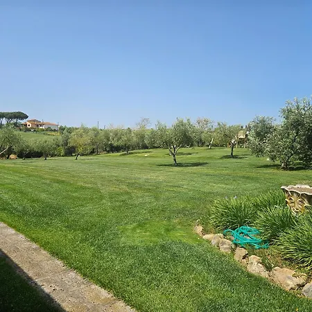 Apart Otel Il Migliarino *