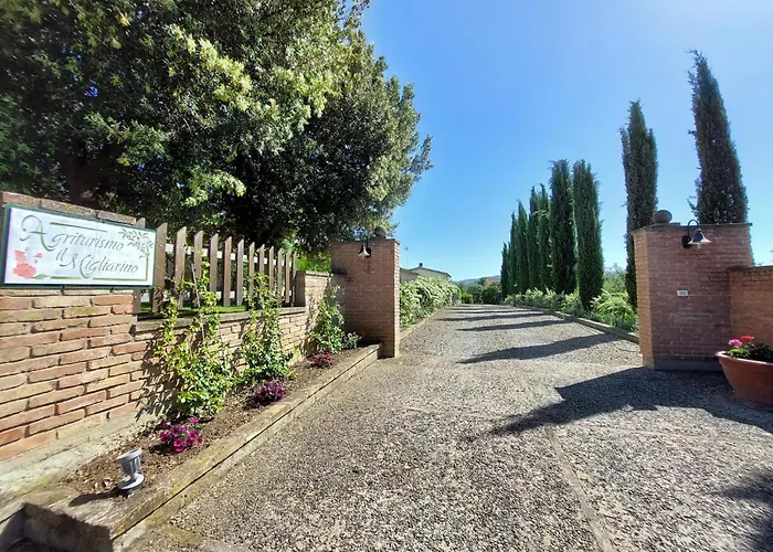 Il Migliarino شقة فندقية